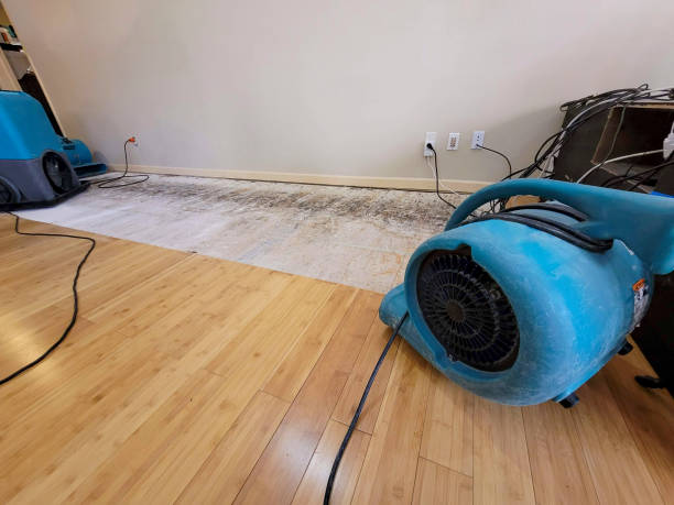 Professional Ceiling Water Damage Repair technician working in Clarion, IA